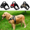 Soft Adjustable Dog Harness