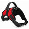 Soft Adjustable Dog Harness