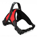 Soft Adjustable Dog Harness